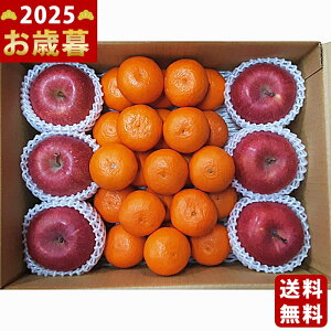 Ε ~Mtg ݂E񂲃Zbgs2025N Εpi ցt/Mtg 蕨 lC    MtgZbg lߍ킹 i ΂ 䈥A i  Ƒ 