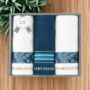 BEAMS DESIGN tFCX^I3Zbg lCr[[51-3139300NBBD]