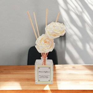 \t[fBt[U[ sN[665945DFPK]