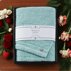 uAgRbg oX^I/BCSF-24500 ^Ii oX^I {[߂ȃ^Iŏ㎿ȋzƔG ^I j j  oYj j Mtg 