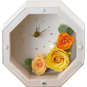 MOLY �A���e�B�[�N�z���C�g�i�v���U�[�u�h�t�����[�j �C�G���[[A5]