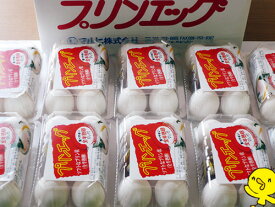 プレゼントプリンエッグ（半熟卵）一度食べたらヤミツキ半熟卵50個（タレ付）（5個入り×10パック＝50個）温泉玉子　お歳暮　お見舞い　お礼　ギフト　半熟卵　温泉卵　　介護食 たまご　業務用　【10P03Dec16】