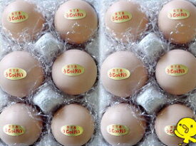 母の日高級卵うこっけいの卵6個入り×2パック=12個贈答品に最適！ウコッケイ　たまご　タマゴ　烏骨鶏卵　プレゼント　お礼　お祝い　御見舞い　高級　　ギフト卵 たまご 健康 免疫力アップ　 介護食　　　ポイント5倍