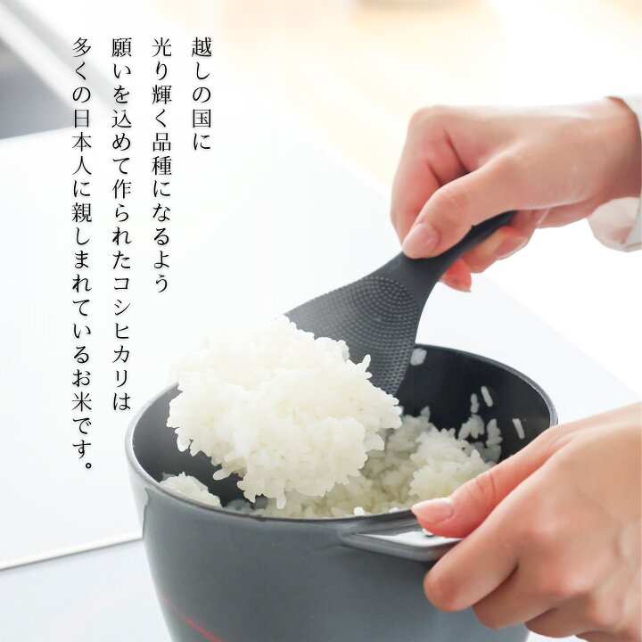 楽天市場】【 新米 】 愛媛県産 コシヒカリ 玄米 30kg 令和7年産 お米 