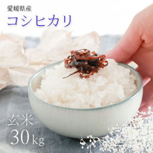 y V z QY RVqJ  30kg ߘa7NY    Ђ RVqJ Ă̂܂ }q }qH Y Ɩp HX ƒp Mtg  蕨  30kg 30L 