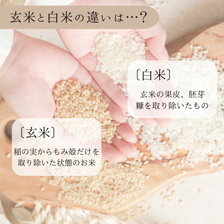 楽天市場】数量限定 愛媛県産 ひめ凜 玄米 30kg 1等 プレミアム 