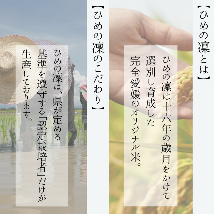楽天市場】数量限定 愛媛県産 ひめ凜 玄米 30kg 1等 プレミアム 