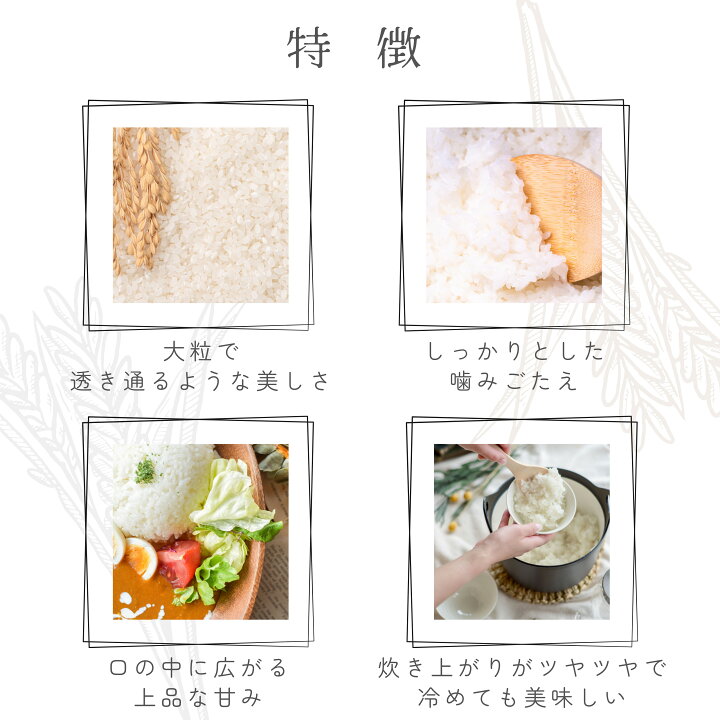 楽天市場】数量限定 愛媛県産 ひめ凜 玄米 30kg 1等 プレミアム 