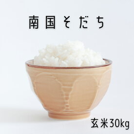 ★☆令和7年産新米★☆高知産 南国そだち 玄米 30 kg 新米 令和7年産