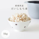 ☆★新商品☆★ ダイシモチ もち麦 5kg 国産もち麦 メール便送料...