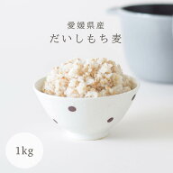 ☆★人気商品☆★ ダイシモチ もち麦 1kg 国産もち麦 メール便送料無料 雑穀 穀類 ご飯 御飯 お米 ヘルシ…