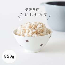 ☆★新商品☆★ ダイシモチ もち麦 850g 国産もち麦 メール便送料無料 雑穀 穀類 ご飯 御飯 お米 ヘルシー 腸活 食物繊維 850g ダイエット 内祝い 筋トレ トレ食 プロテイン スーパーフード ポイント消化 お米のまるひ