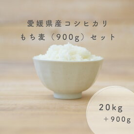 愛媛県産 コシヒカリ 20kg ( 10kg × 2 ) 令和5年産使用 もち麦 900g 白米 こめ 精米 備蓄米 お米 米 こしひかり きらりもち麦 キラリモチムギ お米のまるひ マルヒ マルヒ食糧 国産 業務用 ギフト 贈答 贈り物 送料無料