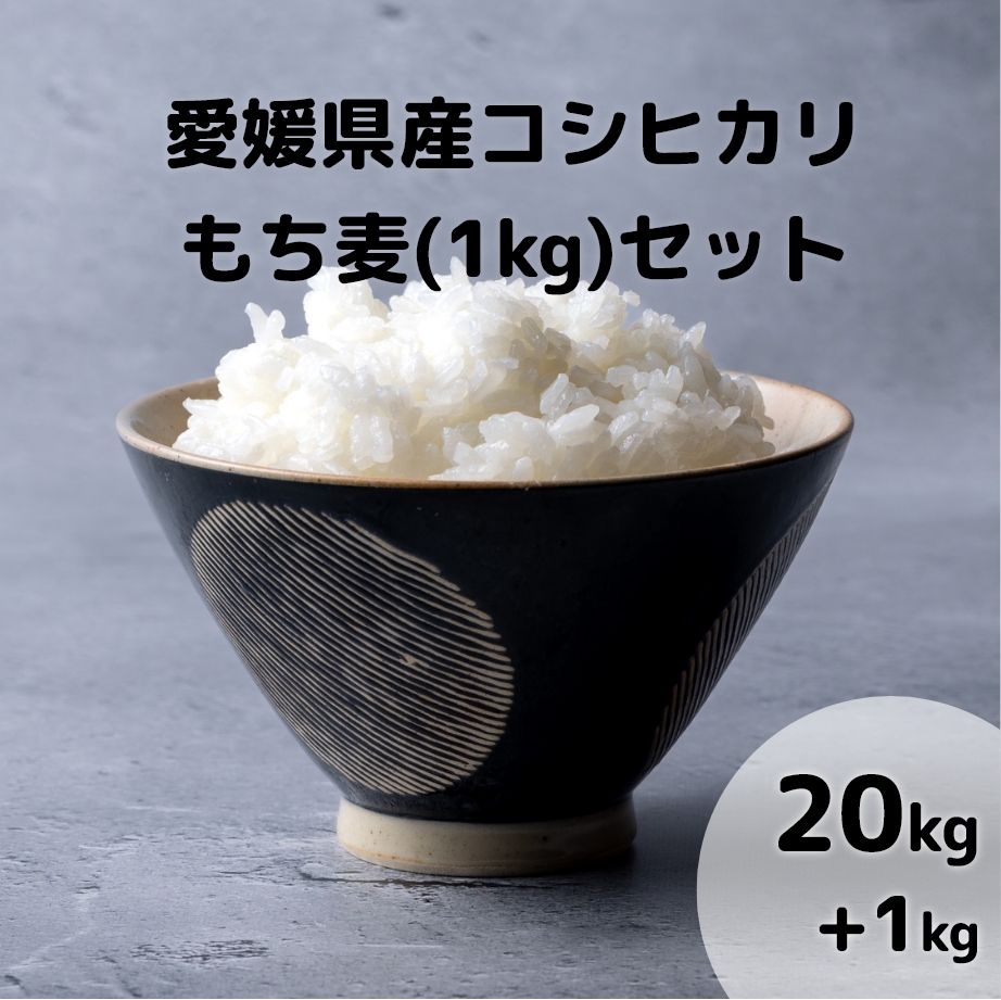 子育て応援米 愛媛県産コシヒカリ 農家が食べているお米 中米 白米10㌔ 通販