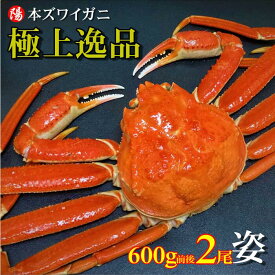 お買い物マラソン＼クーポン対象／本ズワイガニ姿 600g前後×2尾【送料無料 ズワイガニ姿 ボイル 1.2kg かにみそ 蟹みそ 大サイズ 最高級 冷凍 海鮮 蟹 かに カニ かに姿 カニ姿 姿 ずわいがに ズワイガニ ギフト お取り寄せ お祝い 贈答品 父の日 お中元 BBQ】