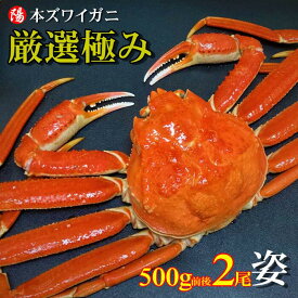 お買い物マラソン＼クーポン対象／本ズワイガニ姿 500g前後×2尾【送料無料 1kg前後 ズワイガニ姿 ボイル かにみそ 蟹みそ 最高級 冷凍 海鮮 蟹 かに カニ かに姿 カニ姿 姿 ずわいがに ズワイガニ ギフト 贈答品 お祝い 父の日 お中元 BBQ】
