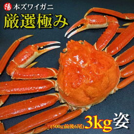 本ズワイガニ姿 500g前後×6尾 3kg【ズワイガニ姿 ボイル かにみそ 蟹みそ 業務用 最高級 冷凍 海鮮 蟹 かに カニ かに姿 カニ姿 姿 ずわいがに ズワイガニ ギフト 贈答品 お取り寄せ 内祝い お祝い プレゼント 父の日 お中元 BBQ】