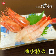 ＼クーポン対象／甘海老 (生食用) 1箱700g前後(特大30尾前後)【送料無料 日本海産 兵庫県産 最高級 えび …