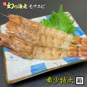 _X[p[SALEN[|t^TGr (Hp)1 700gO TCY 14cmOy {CY Ɍ 挧 Ⓚ ō  Gr CV  炦 KGr  hg C