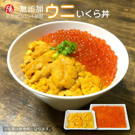 ＼お買い物マラソン★クーポン付／ウニいくら(チャム/白鮭卵)セット 【送料無料 うに 雲丹 冷凍 無添加 ミョウバン不使用 いくら イクラ 鮭 白鮭 醤油漬け 刺身 海鮮 寿司 海鮮丼 海の幸 小分け お取り寄せ ギフト 贈答品 プレゼント お祝い お買い得 父の日 お中元 BBQ】