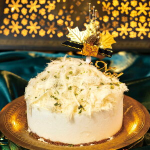 NX}XP[L t@[ C[Xg oU[ KU xC[giACXP[Lj