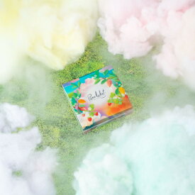 バレンタイン チョコ 2026 ピエール・ルドン キャトル