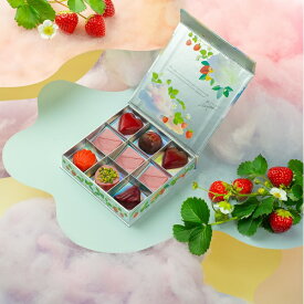 バレンタイン チョコ 2026 ピエール・ルドン コフレ フレーズ