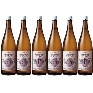 mRnRm2025fEFA ꏡr 6{Zbg