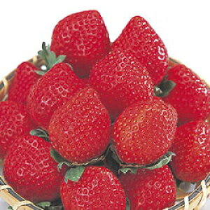 Gg[P5{ mÉngق Gg[Ń|Cg5{i112701F59j