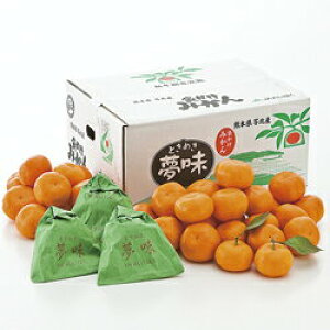 mF{Eknz~܂݂ Ƃ߂ TCY40