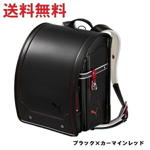 |Cg10{@Vĝ͂˃v[}v~AGfBV hZ