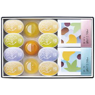 お中元 ギフト プレゼント 京菓匠 鶴屋吉信 京風冷菓（13個入） TKR-13