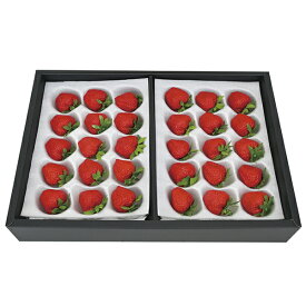 ＠FARMのいちごギフト SF‐I P13