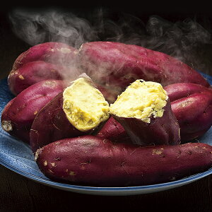 _ z g͂邩 KI]BH P13