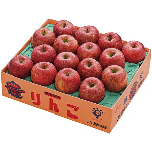 Gg[P5{ Ε Mtg  Tӂ AP]16 P51 Gg[Ń|Cg5{i112701F59j