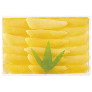 E䐅Y ̎q SKZ]300 P49