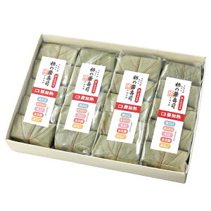 WEB-105yJ{܁z`̗tii520j