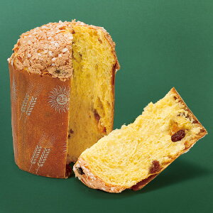 NX}X P[L EBGCEtX plg[l