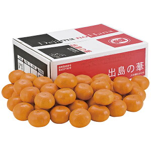 Ε Mtg ډB݂uỏ؁v ND]S P50