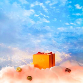 バレンタイン チョコレート 2026 ピエール・ルドン プチシャトー