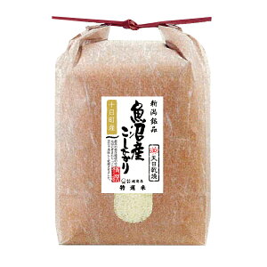 V ߘa7NxY V \Y Ђ 1񒍕 1 5kg RVqJ