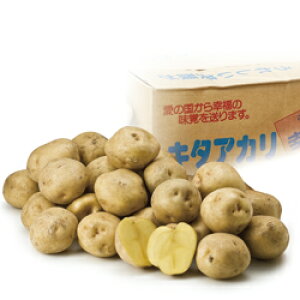 mэLnk TCY 10kg