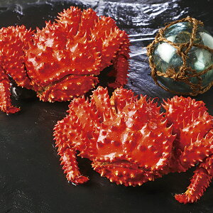 E䐅Y kCY{Cԍ炪 HANA]800 P45