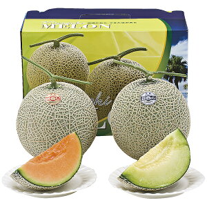 お歳暮 ギフト 赤肉&青肉マスクメロン RD‐B P51