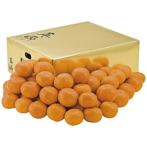 Ε Mtg JAɂ ̊ۂ݂uS[h痼v HS]G P50