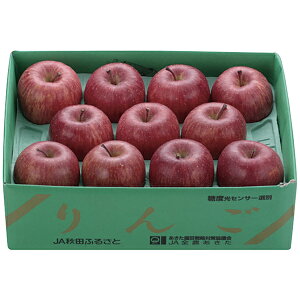 Ε Mtg TӂiX[p[LOj AR]SK3 P51