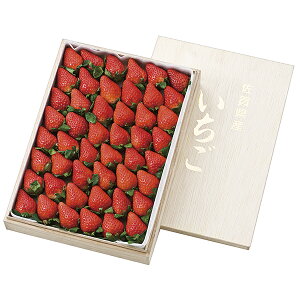 お歳暮 ギフト 松浦東部 いちごさん苺(木箱入) IS‐B P50
