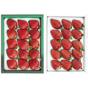 Ε Mtg Bli܂E߂̂j ITG]W P50