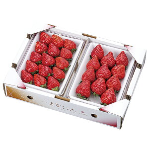 お歳暮 ギフト 真心農園 まなこころ とちおとめ「楓」 MA‐2 P13