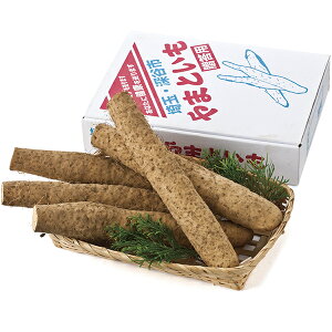 Ε Mtg H_ a TO]Y P13